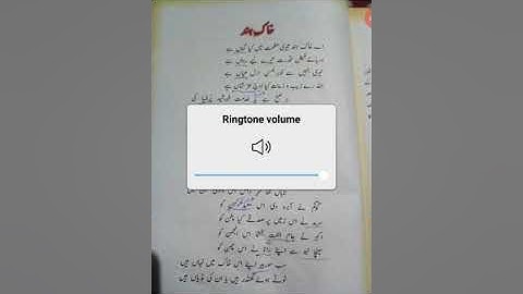 NAZIM KHAK E HIND(BRIJ NARAYAN CHEKBUST