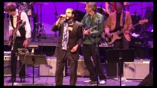 Wild Honey Orchestra-Lady Madonna (featuring Morty Coyle)