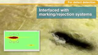 DENTRO LRX Rugged Material On-Line Scanner (Updated Video)