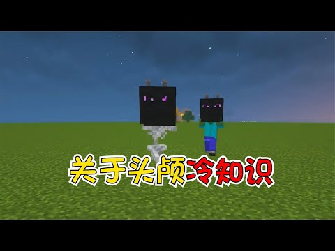 我的世界：关于头颅你不知道的趣味小知识