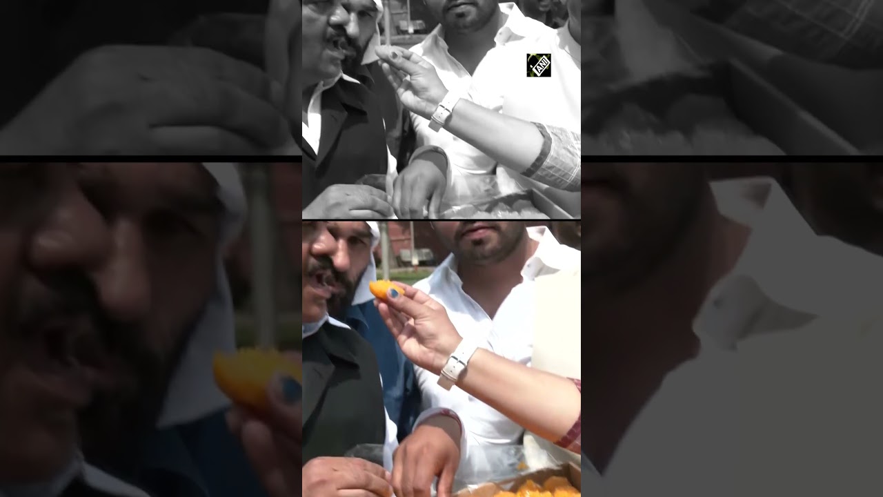 Karnataka Elections 2023: ‘Will introspect…’, says CN Ashwath as Congress takes lead in early trends