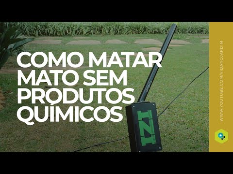 Vídeo: Os produtos químicos da piscina matarão a grama?