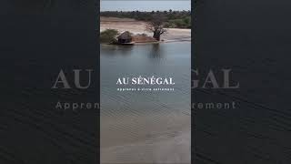 #Dakar #senegal