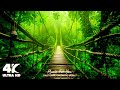 UNREAL PLACES On Earth Most Beautiful Places In The World 4K 60FPS Dolby Vision UNREAL PLACES On Earth Most Beautiful Places In The World 4K 60FPS Dolby Vision