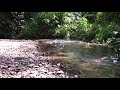 SLOW TV - An Hour By The River - Relaxing