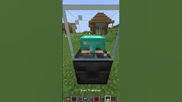 Minecraft Helmet Display Hack #shorts