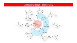 4220 Enolates in Organic Chemistry Synthesis