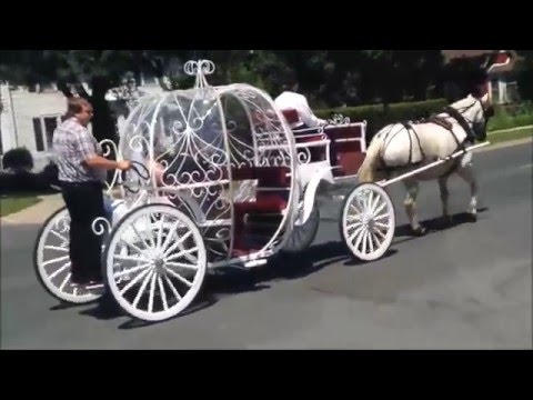Vince and Tanya's Wedding Day Carriage Ride