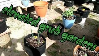 Organic Garden Tour||Season 3