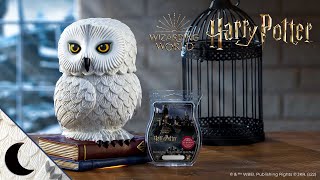 Hedwig Scentsy Warmer + Harry Potter Collection!