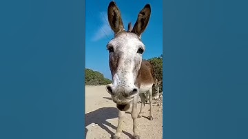 Join us on a journey to some of the most awe-inspiring places on Earth.