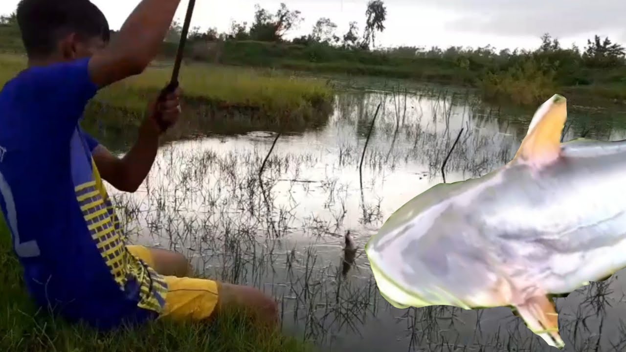 Traditional best huk fishing 2020 mejor pesca huk 2020. YouTube