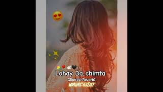 lohay Da chimta (Slowed and Reverb) Shafullah Khan Rokari song Saraiki//Waqas 🥀❤️🥀