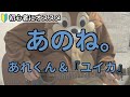 あのね。/あれくん &『ユイカ』/ギター弾き語り練習用動画(コード/ストローク/歌詞)