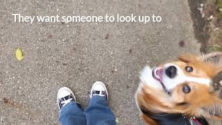 Get paid to be looked up to