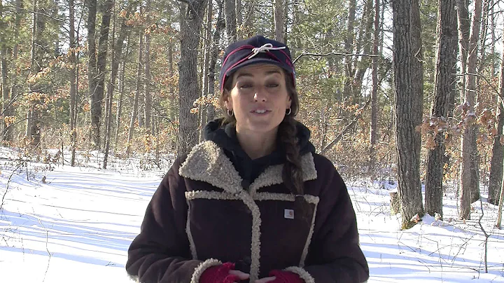 Ice Fishing Basics: Electronics