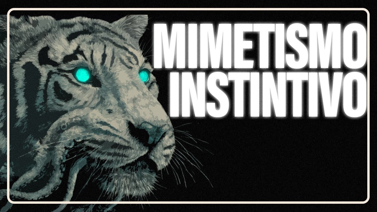 Lo que aprendí siendo el único humano en una misión galáctica