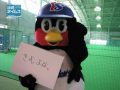 つば九郎に突撃取材！