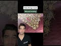 Learn how you skins heals when you have a cut