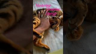 Master Your Feminine Energy Like A Feline 🐆 (Magnetic & Untamed) Resimi