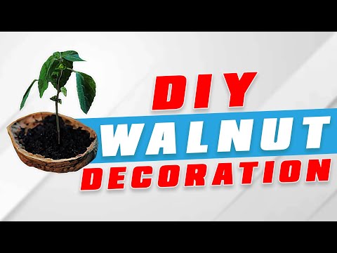 DIY Walnut Shells Decoration Tutorial | Hacks & Crafts
