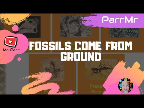 fossils song mr parr