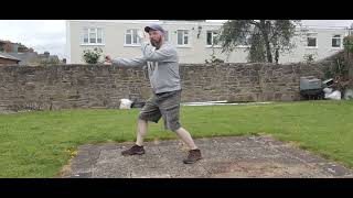 形意拳 xingyi quan sparrowhawk (Yao Xing)
