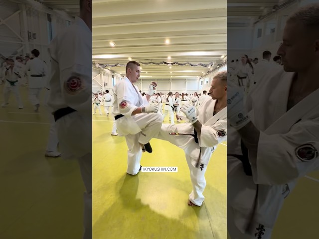 Baltic Fighting Camp 2026 #kyokushin #shinkyokushin #karate #1kyokushin #一極真 #極真会館