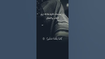 ارح سمعك تلاوة هادئة تريح القلب والعقل