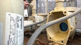 How to fix a leaking pool pump and change a capacitor by DIY Mechanic 69 views 1 year ago 7 minutes, 10 seconds