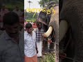 Aanayoot,kootekaavu Temple,#shorts,#templevideos
