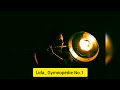 Gymnopédie No.1 ( #eriksatie #flute #piano #cover ) ( Lida Bagheri لیدا باقری )