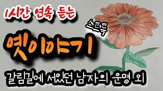 🌜잠들기전 듣는 옛이야기! [갈림길에 서있던 남자의 운명] 외 1시간🌛 설화/민담/야화/야담/전래동화/역사일화/세계명작/동화연속듣기/오디오북/수면동화/삼국유사/삼국사기/야사/전설