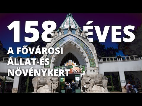 158 éves a