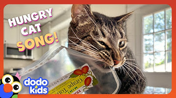 🎵🎶 Gimme Dat! (The Hungriest Cat In The World) MUSIC VIDEO SONG 🎵🎶 | Dodo Kids | Music For Kids