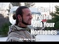 Daniel Vitalis On Pine Pollen &amp; Your Hormone Health