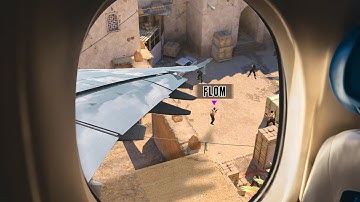I Flew a Pro Player Out to Carry me in CS2, but we got cheated...