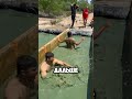 Когда тренировка превращается в настоящий ад… #short