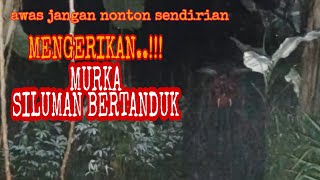 murka siluman bertanduk karna banyak yang men.....