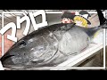 【料理 #27】よっしいはマグロを食べたい 【ゆっくり実況】