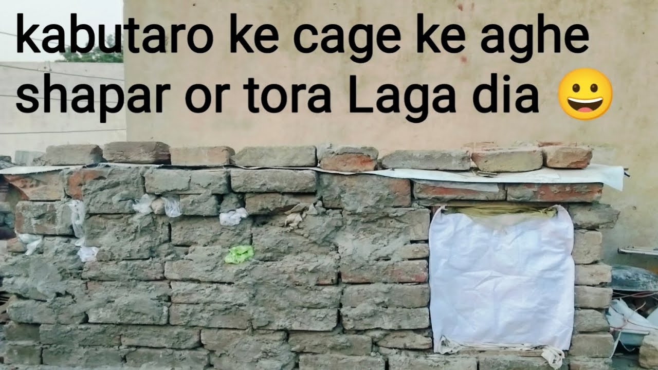 Kabutaro ke cage ke age tora Laga diya 😀/ Zaibi Lgnd pigeon 🤫