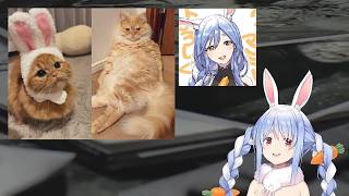 【兎田ぺこら】可愛い☆マミーとごろにゃんみみちゃんの現在の関係を語るぺこらちゃん 2026/03/07(Aパート)【ホロライブ切り抜き】