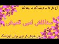 Lambi kameez ke stylish Design 2026 | Long kameez Design Ideas | Latest Fashion | Amber designer