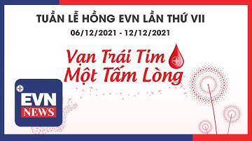 Tuần lễ hồng EVN  lần thứ VII: “Vạn trái tim – Một tấm lòng”