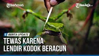 Ritual Kuno Amazon Berujung Tragedi