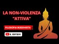 BUDDISMO | La Forza della Nonviolenza