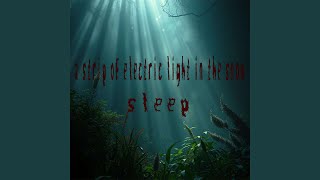 sleep3