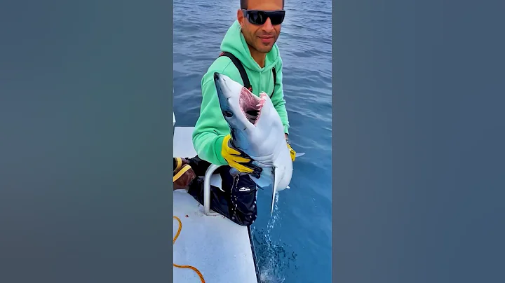 How to Catch a Mako Shark By Hand! 🦈