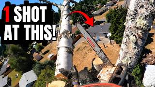 No Idea How To Get This DEAD Tree Top Down!