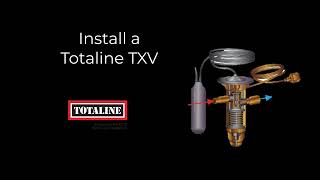 TXV Animation